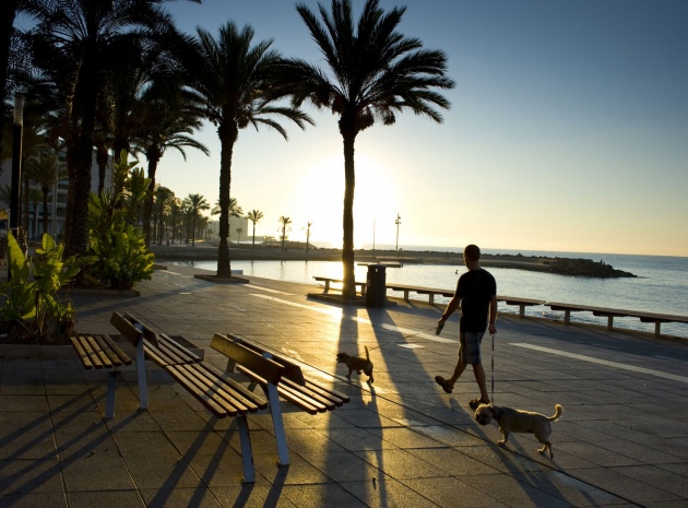 Neubau - Wohnung - Punta Prima