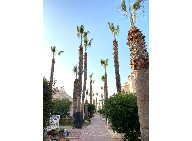 Revente - Maison de ville - Playa Flamenca - miraflores