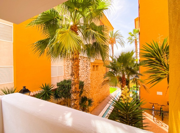 Resale - Apartment - Punta Prima - La Recoleta