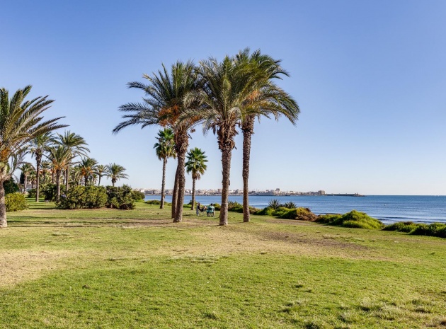 Återförsäljning - Lägenhet - Torrevieja - mar azul