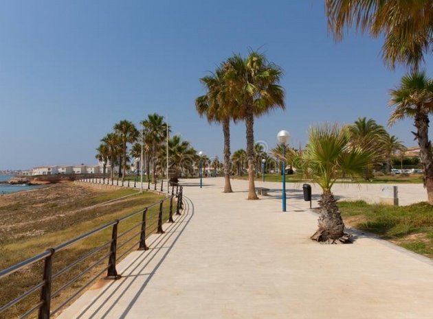 Nieuw gebouw - Appartement - Playa Flamenca - playa flamenca