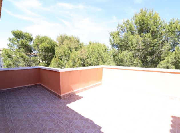 Resale - Apartment - Playa Flamenca - parque del duque