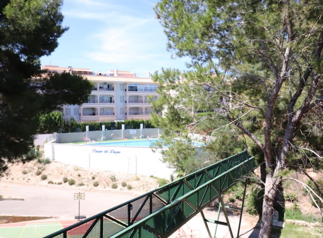 Resale - Apartment - Playa Flamenca - parque del duque