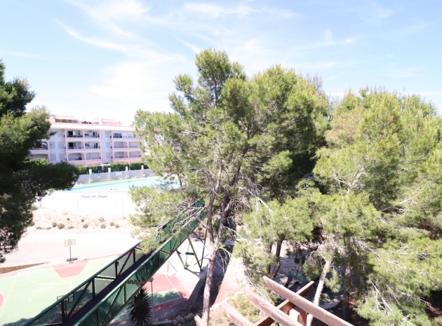 Resale - Apartment - Playa Flamenca - parque del duque