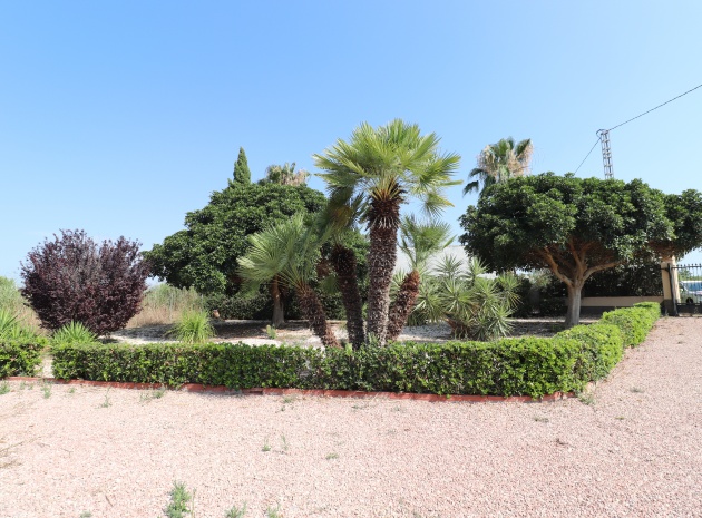 Resale - Country Property - Callosa De Segura - Callosa de Segura - Country