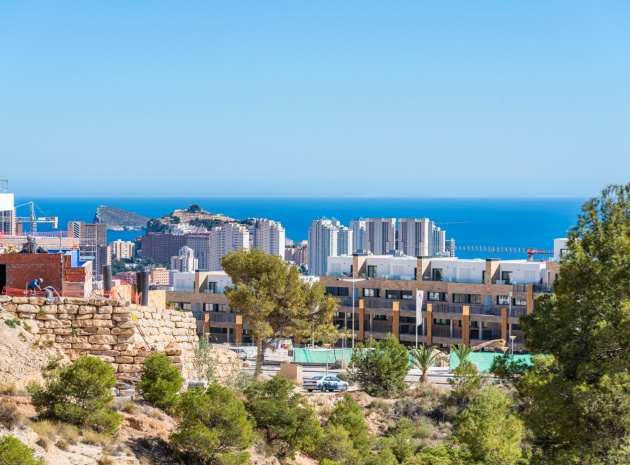 Nouvelle construction - Villa - Benidorm - Finestrat