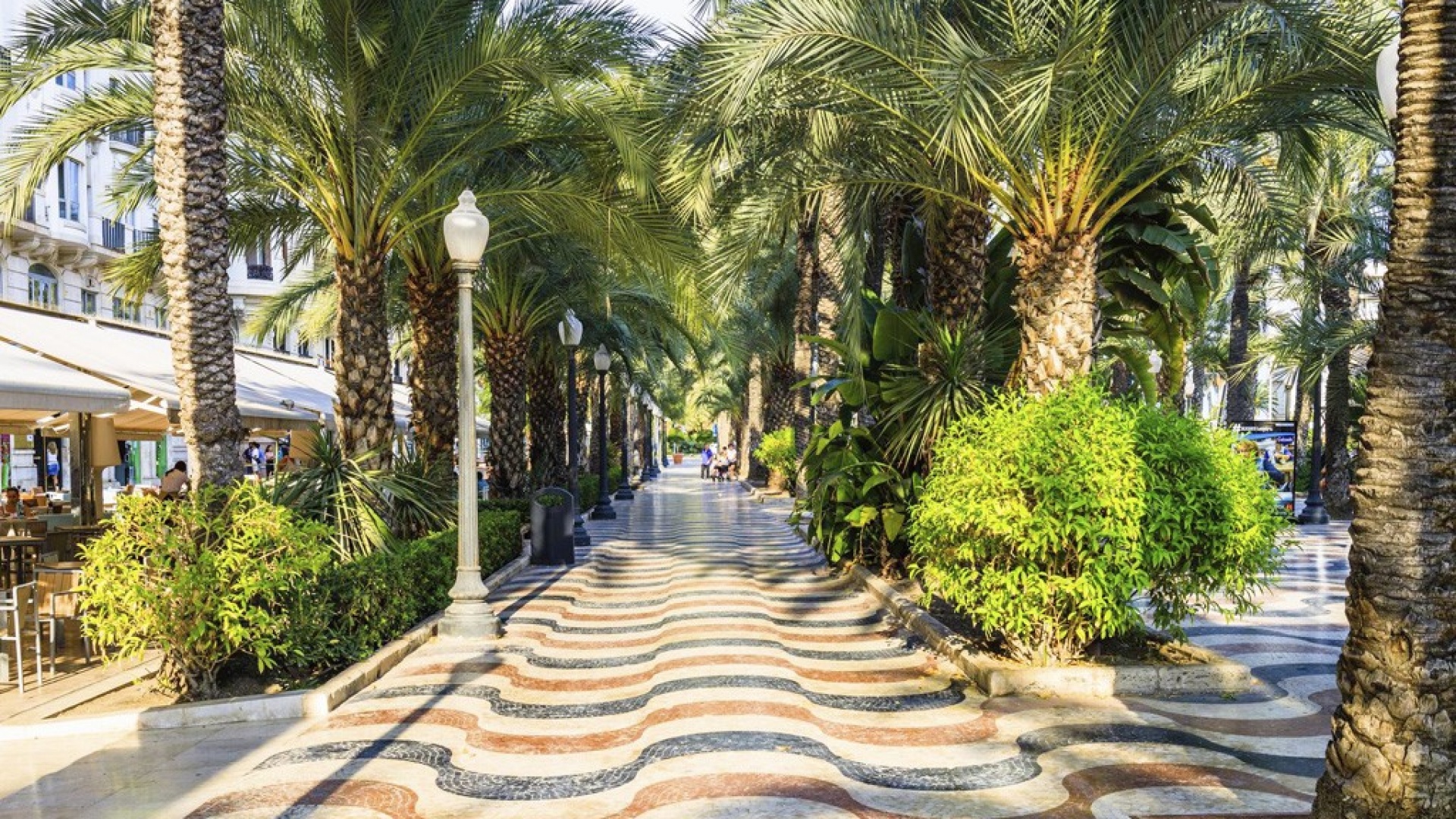 Nybyggnad - Lägenhet - Alicante - Alicante city