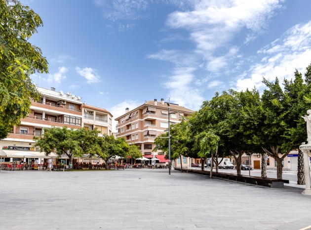 Nieuw gebouw - Villa - Los Montesinos - La Herrada