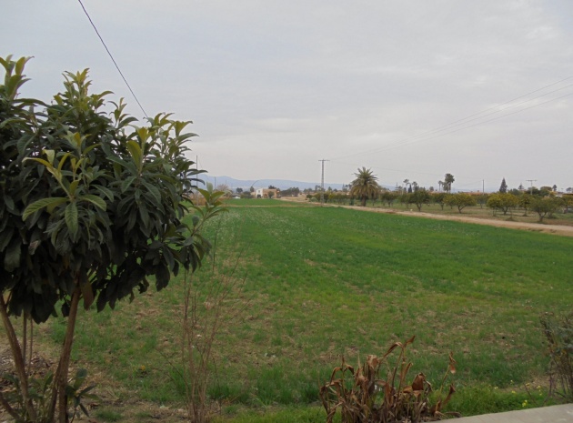 Återförsäljning - Bungalow - Catral