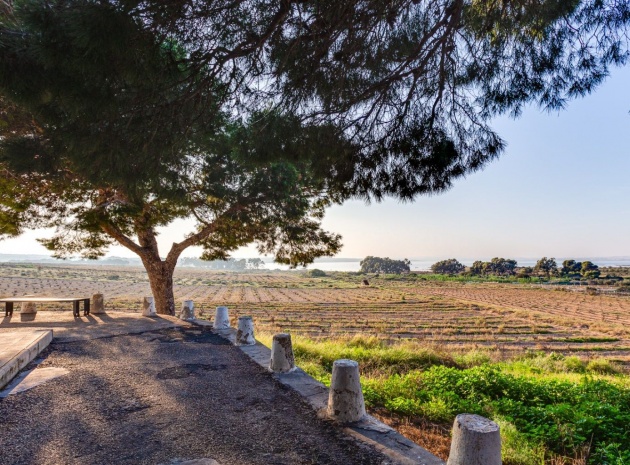 Wiederverkauf - Wohnung - Torrevieja - el chaparral