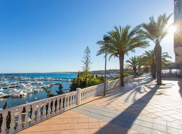 Neubau - Villa - Pilar de la Horadada