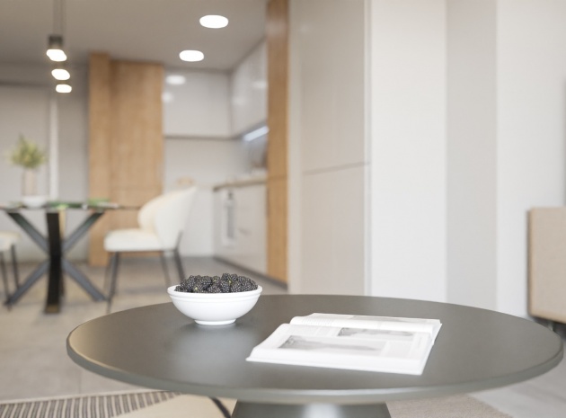 New Build - Apartment - Villamartin - Pau 8