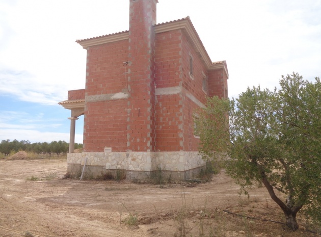 Nieuw gebouw - Villa - Pinoso