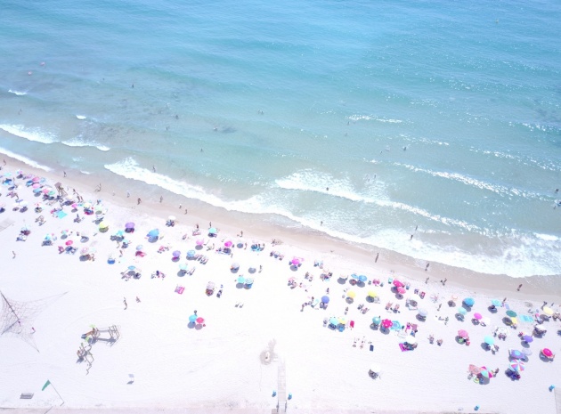 New Build - Villa - Campoamor - Las Colinas golf and country club