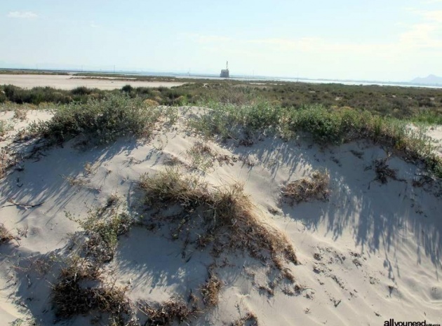 Nybyggnad - Villa - San Pedro del Pinatar - Las Esperanzas