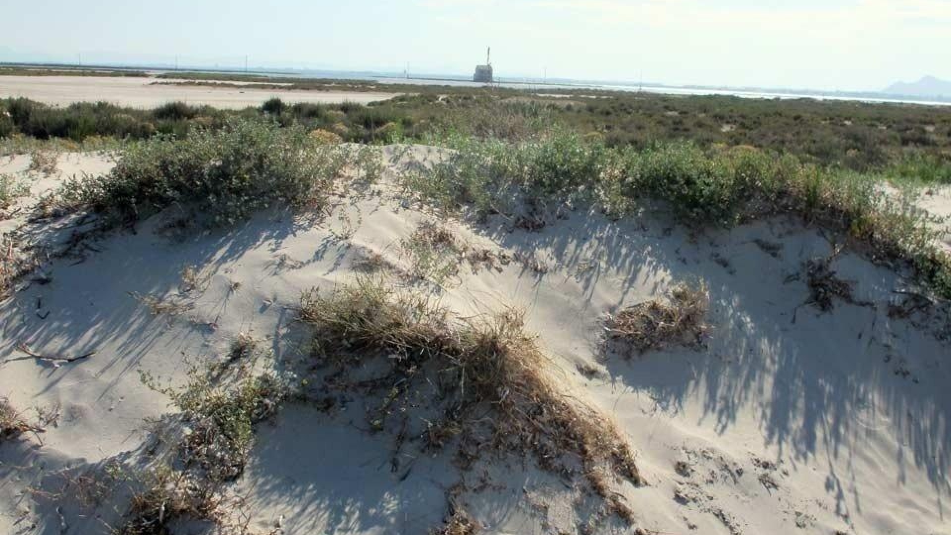 Nieuw gebouw - Villa - San Pedro del Pinatar - Las Esperanzas