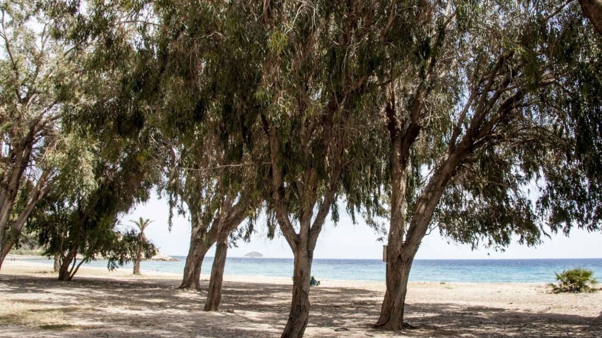 Nybyggnad - Lägenhet - Villajoyosa - Playas Del Torres