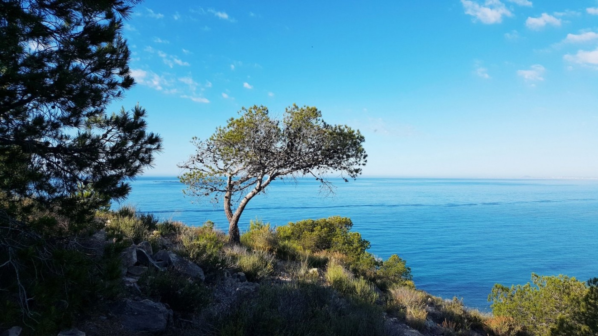 Neubau - Wohnung - Villajoyosa - Playas Del Torres