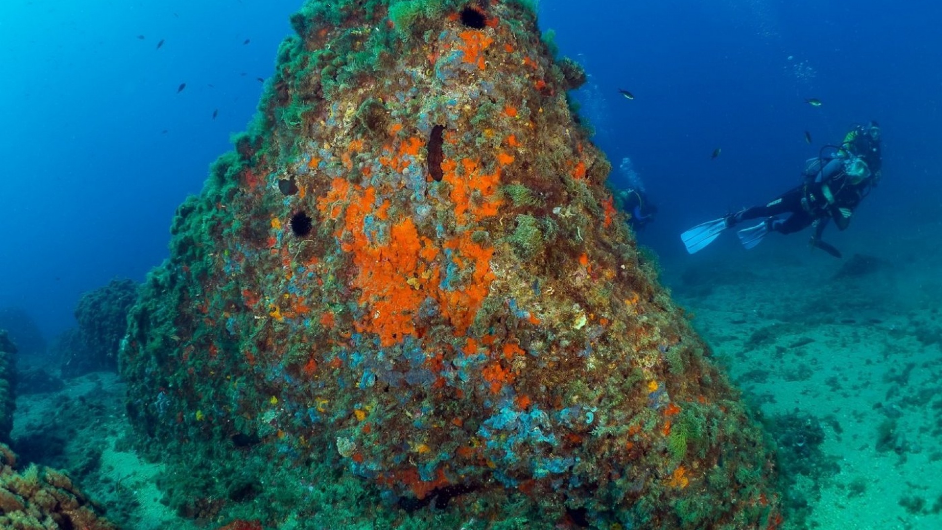 Neubau - Wohnung - Aguilas - Isla Del Fraile