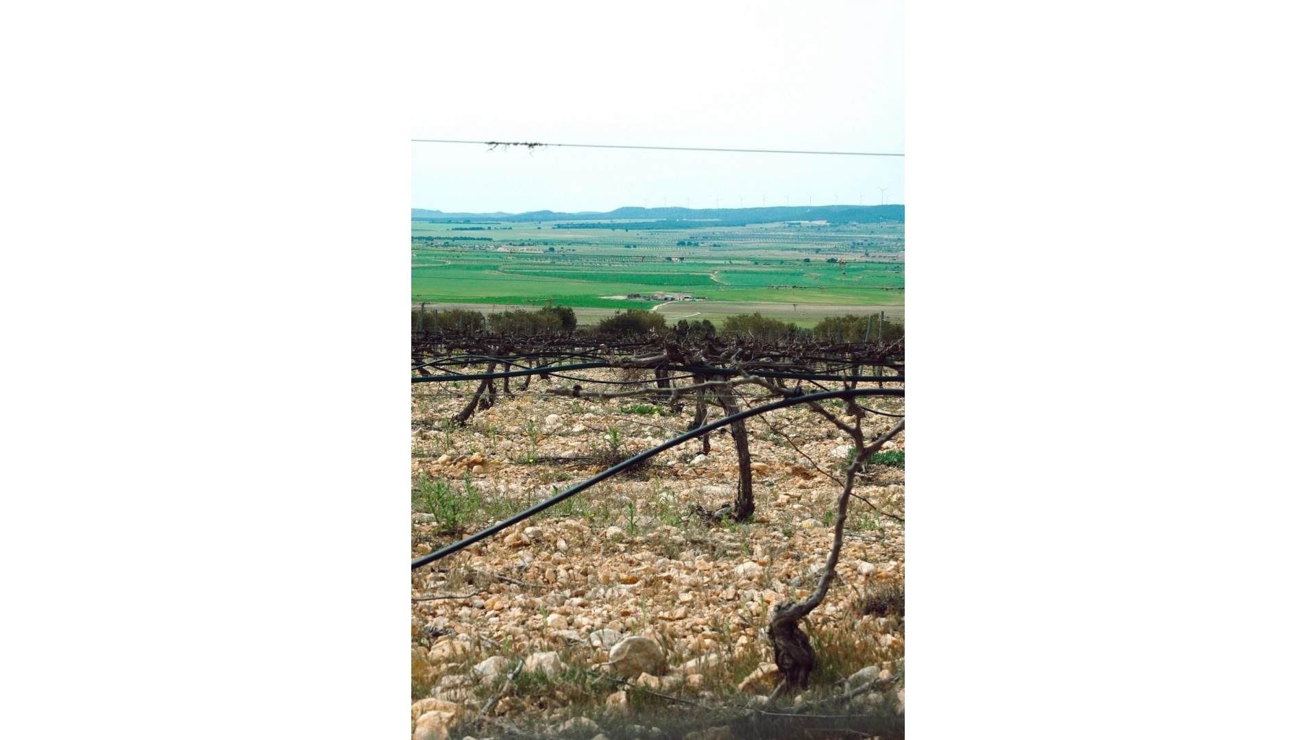 Nieuw gebouw - Villa - Yecla