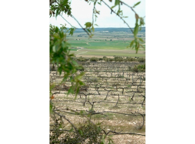 Nieuw gebouw - Villa - Yecla