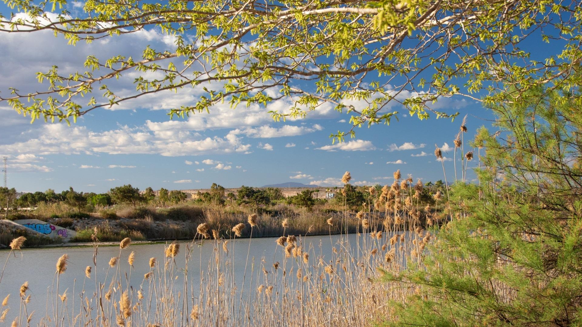 Nybyggnad - Bungalow - Guardamar del Segura