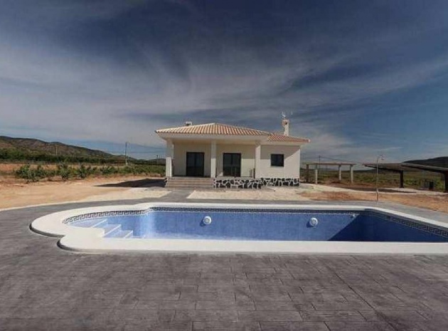 New Build - Villa - Pinoso - Camino Del Prado