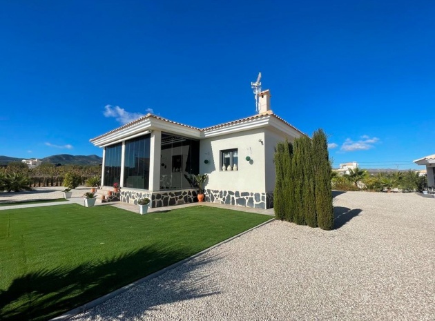 Nieuw gebouw - Villa - Pinoso - Camino Del Prado