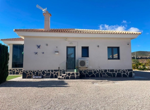 Nieuw gebouw - Villa - Pinoso - Camino Del Prado