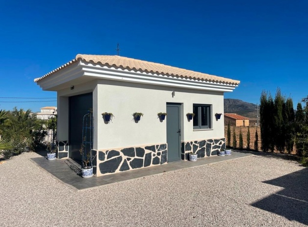 Nieuw gebouw - Villa - Pinoso - Camino Del Prado