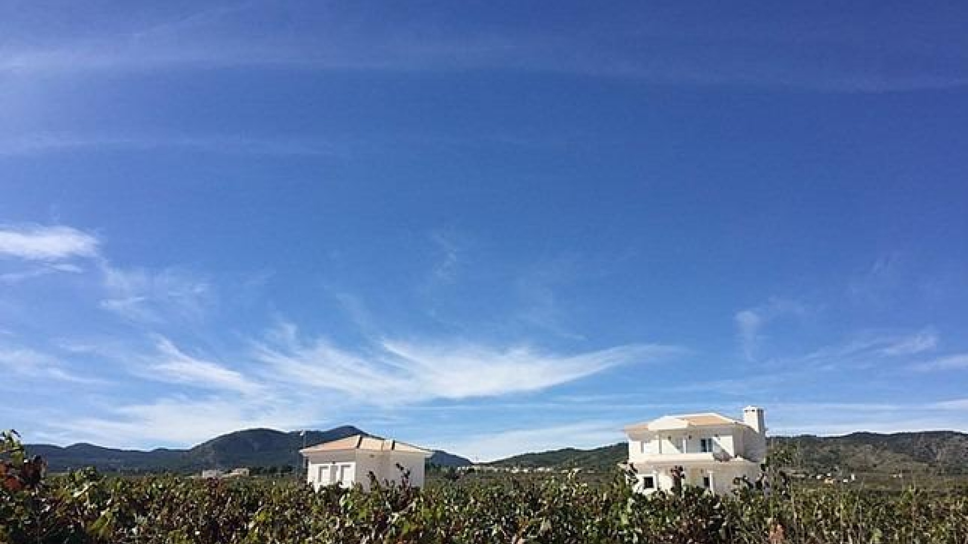 New Build - Villa - Pinoso - Camino Del Prado