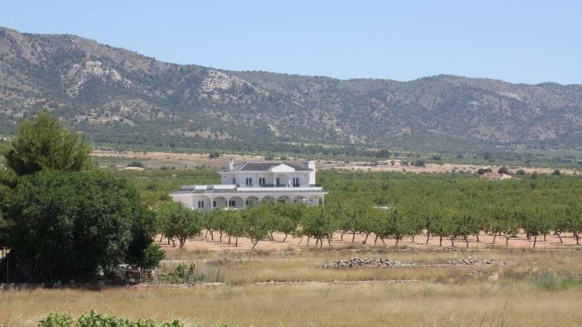 Nybyggnad - Villa - Pinoso - Camino Del Prado