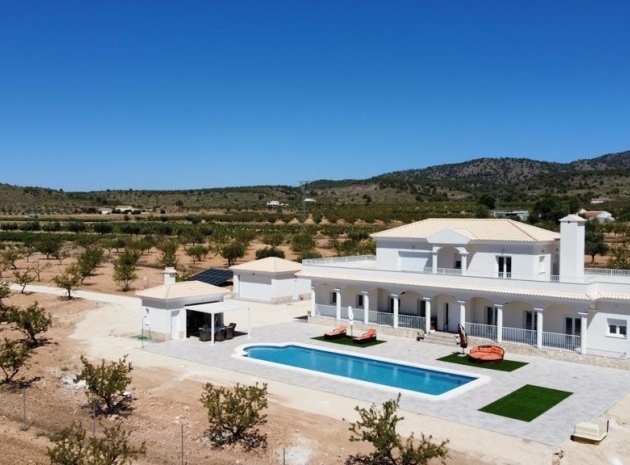 New Build - Villa - Pinoso - Camino Del Prado