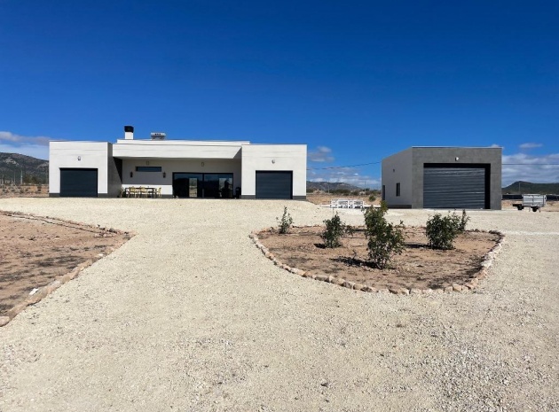 Nieuw gebouw - Villa - Pinoso - Camino Del Prado