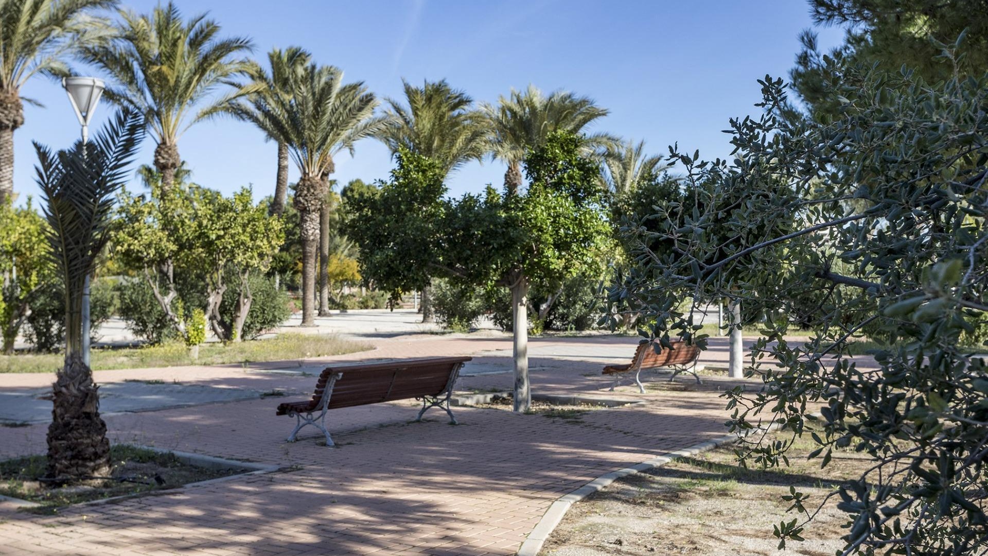 Neubau - Wohnung - Vera - Vera Playa