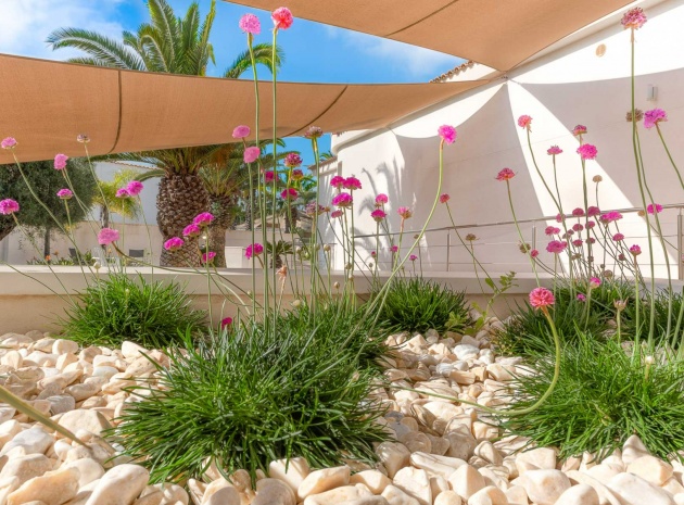 Återförsäljning - Villa - Ciudad Quesada - Town Center