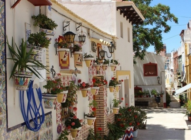 New Build - Villa - Avileses