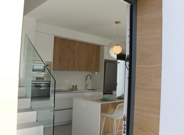 Nouvelle construction - Villa - Roldan