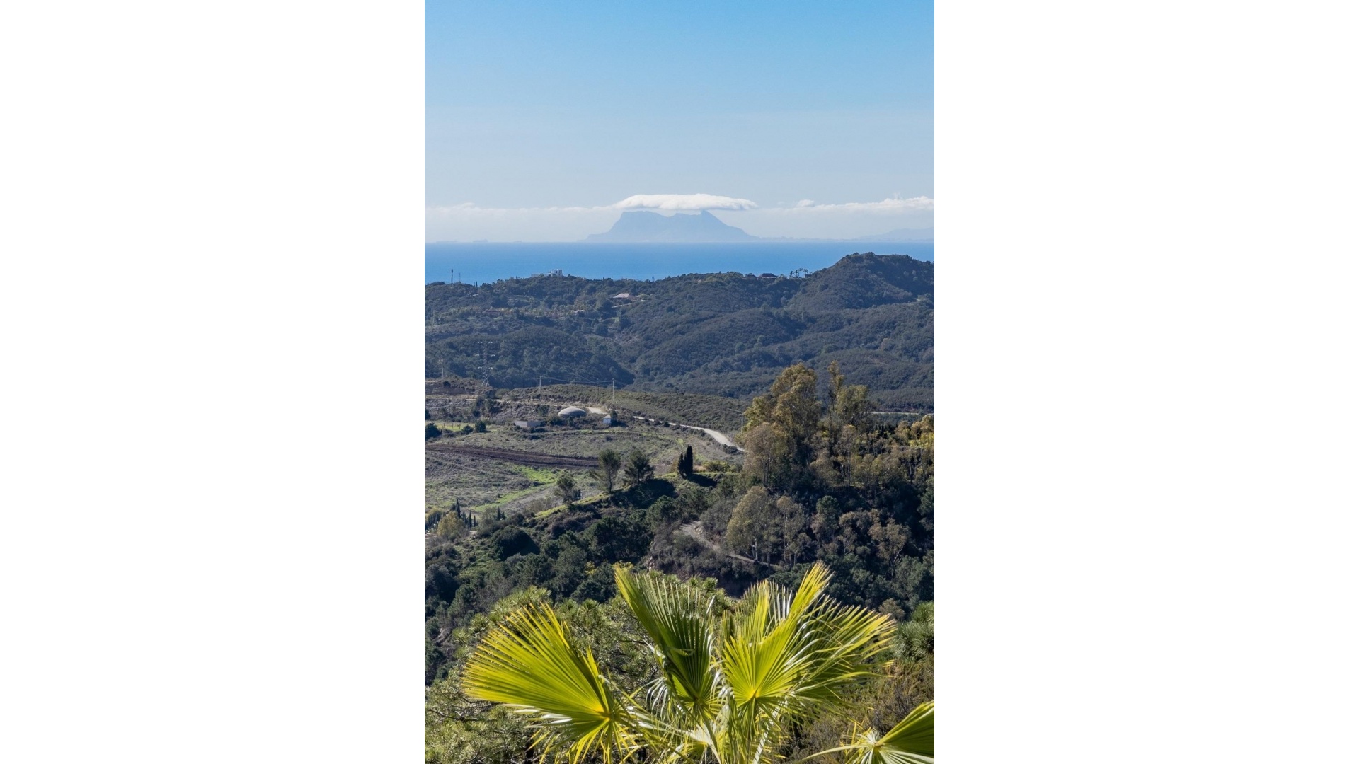 Nieuw gebouw - Appartement - Benahavís - Parque Botanico