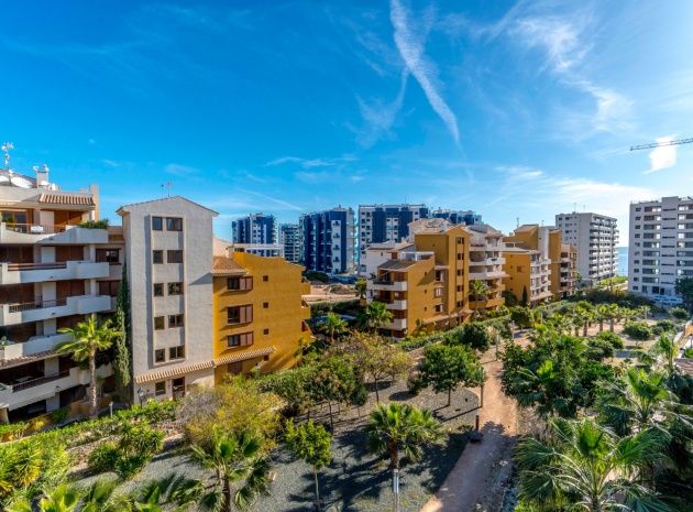 Återförsäljning - Lägenhet - Punta Prima - La Recoleta