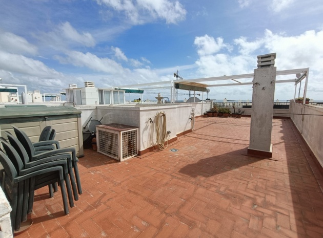 Wederverkoop - Appartement - Playa Flamenca - la mirada